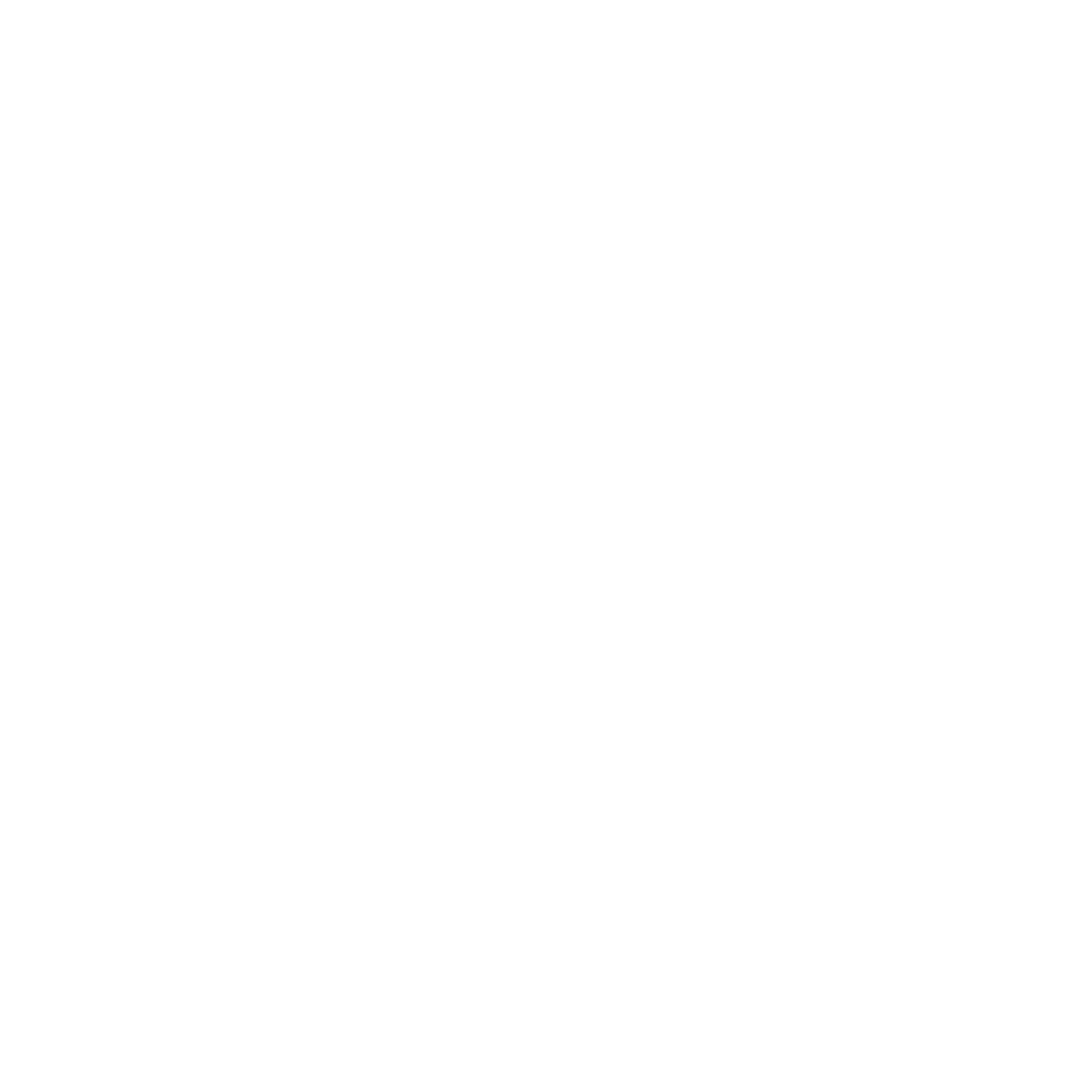 Dallas Wedding DJ and Fort Worth Wedding DJ white logo